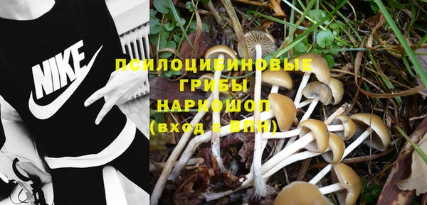 марки nbome Дмитриев