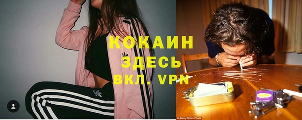 марки nbome Дмитриев