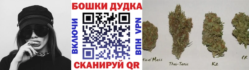 omg рабочий сайт  Красноярск  Канабис гибрид 
